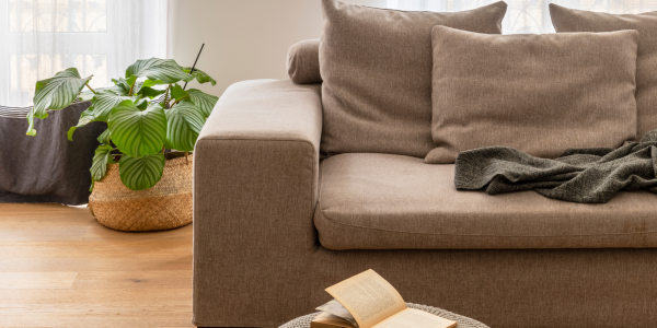 Renueva tu hogar en 2024: Las Últimas Tendencias en Muebles de Oportunissimo